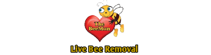 The Beeman Live Bee Removal